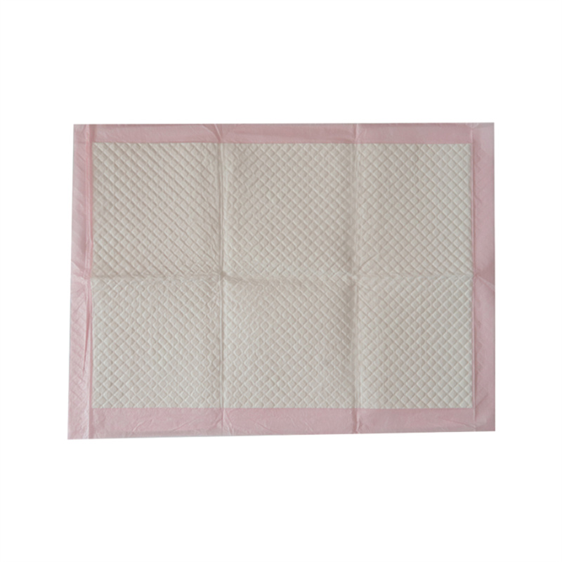 Disposable Puppy Pee Pad for Dog Potty Training2